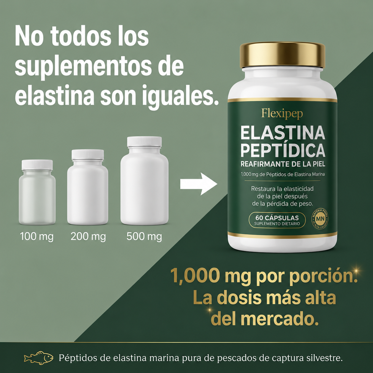 Fexipep - Reafirmante de la piel con Péptidos de Elastina